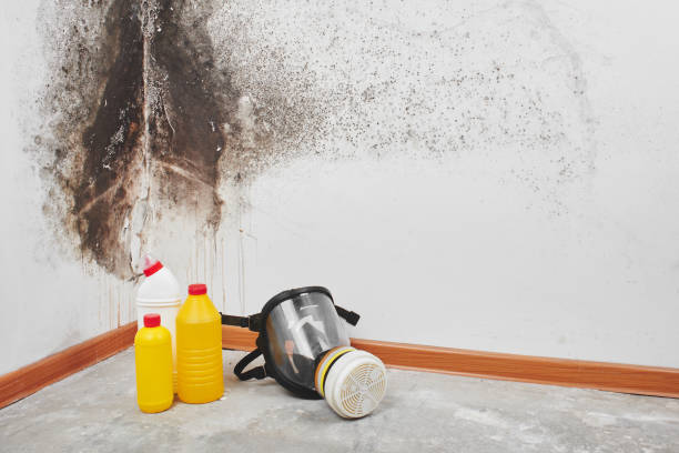 Best Mold Testing  in Hanover, MN